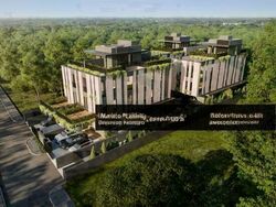 Palm Road (D15), Detached #502915701